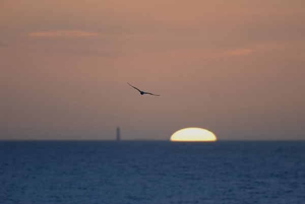Soleil_060122_LT_032