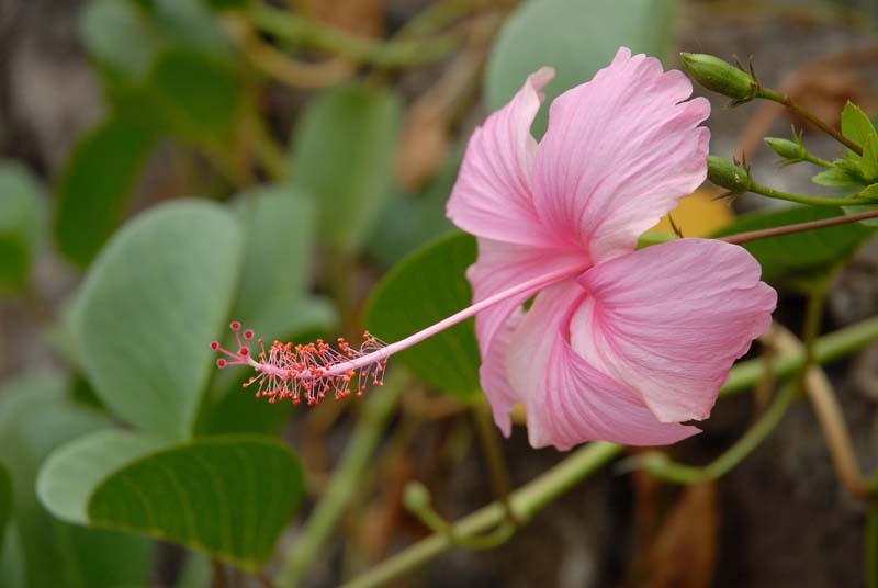 20_4085_GALAPAGOS_SANTA_CRUZ