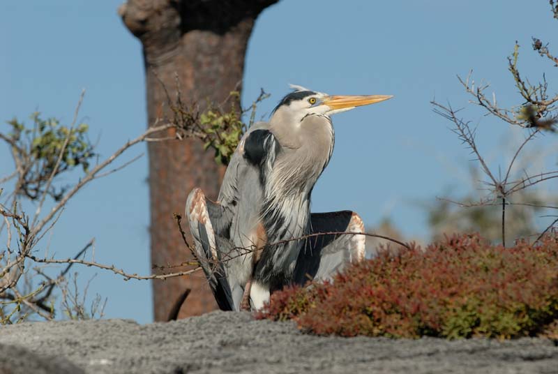 03_2710_GALAPAGOS_FLOREANA