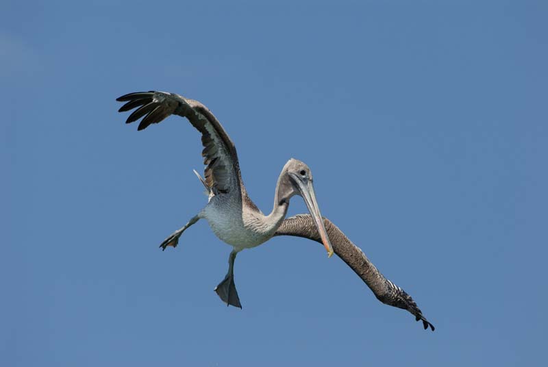 01_3477_GALAPAGOS_SANTA_FE