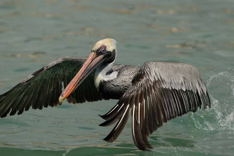 16_3419_GALAPAGOS_SANTA_FE