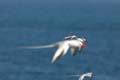 3708_GALAPAGOS_PLAZA_SUD
