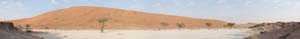 Dead_Vlei